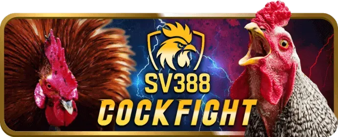 Đá gà trực tuyến 98vin